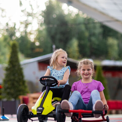 Bild vergr&ouml;&szlig;ern: Eziroller