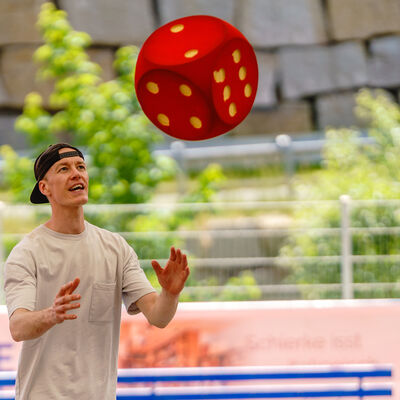 Bild vergr&ouml;&szlig;ern: JAR06008